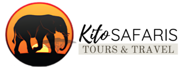 Kito Safari